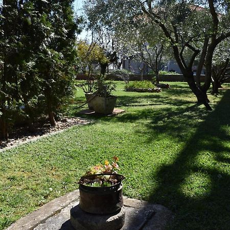 Apartman Dodo Zadar Exterior photo